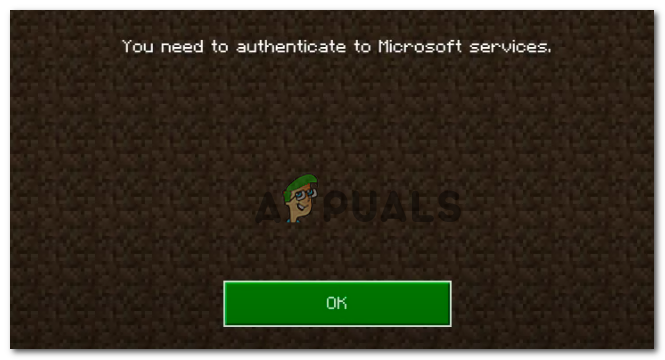 Minecraft Authentication Error