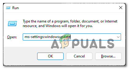 Fix   Windows Will Expire Soon  Popup on Windows 11 - 70