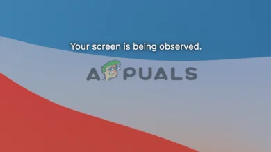 Your Screen is Being Observed