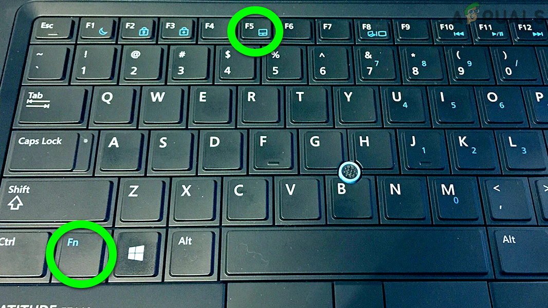 Touchpad not Working after Windows 11 Update? Try these fixes