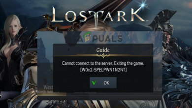 Lost Ark Cannot Connect to the Server