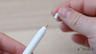 Apple Pencil Not Working
