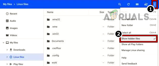 Show Hidden Files in Chromebook