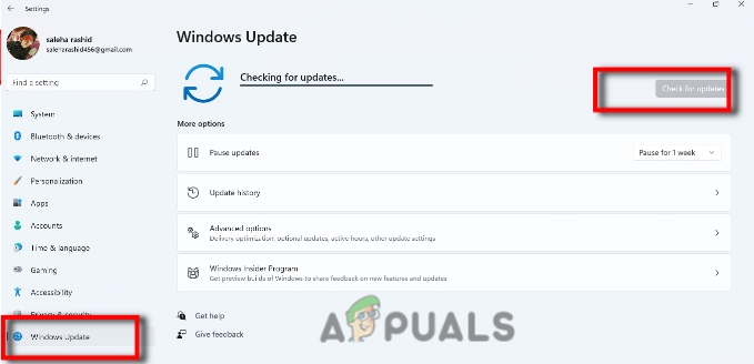 Updating the Windows Operating System