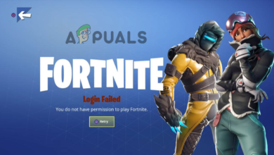 You Do Not Have Permission to Play Fortnite error