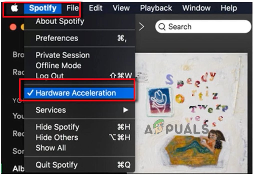Disable Hardware Acceleration on Spotify App-Mac