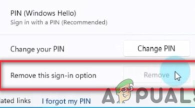 How do I turn off PIN login on Windows 11?