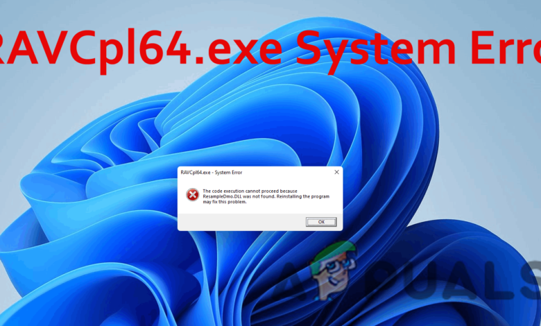 RAVCpl64.exe System Error