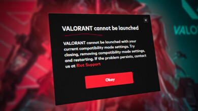 Valorant Won't Launch