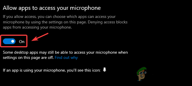 Allow Apps to Access Your Microphone