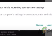 How to Fix Your Mic is muted by System settings on Google Meet