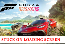 Forza Horizon 5 Stuck on Loading Screen