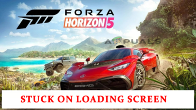 Forza Horizon 5 Stuck on Loading Screen