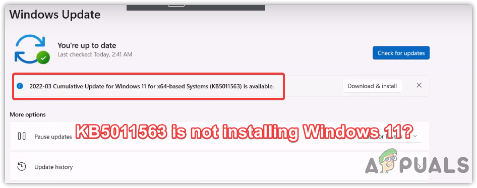 How To Fix KB5011563 will not install on Windows 11?