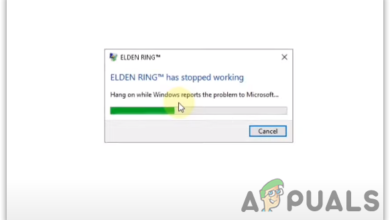 How to Fix Elden Ring White Screen Crash Error?