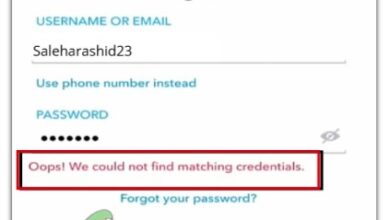 Snapchat Can't Find Matching Credentials
