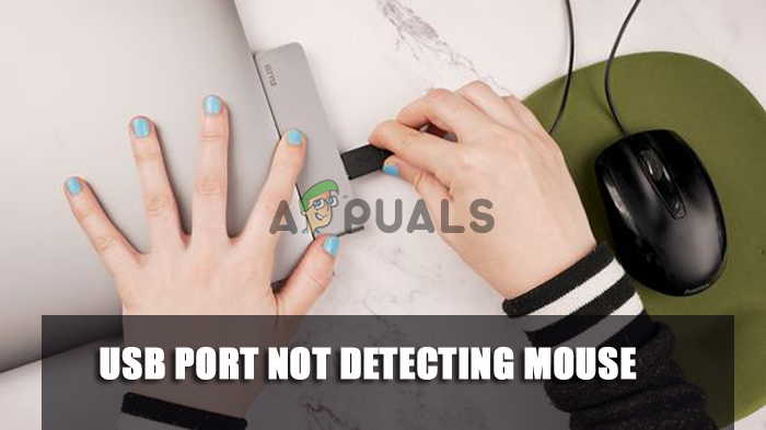 Overall solidarity Behavior USB Port Not Detecting Mouse? Try these fixes - Appuals.com