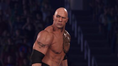 WWE 2K Games removed