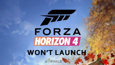 Forza Horizon 4 Won’t Launch