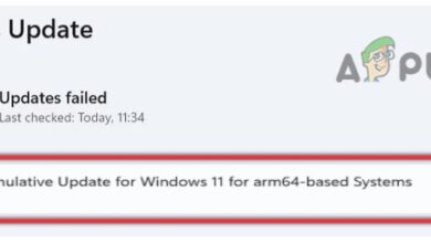 Windows Update KB5014019 not Installing on Windows 11
