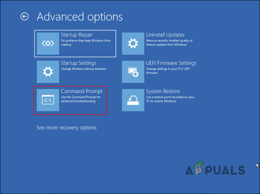 Choose Command Prompt in Advanced options