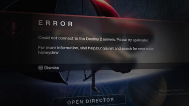 How to Fix "Error Code: Cat" in Destiny 2?