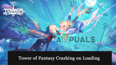 Tower of Fantasy Crashing on Loading Screen