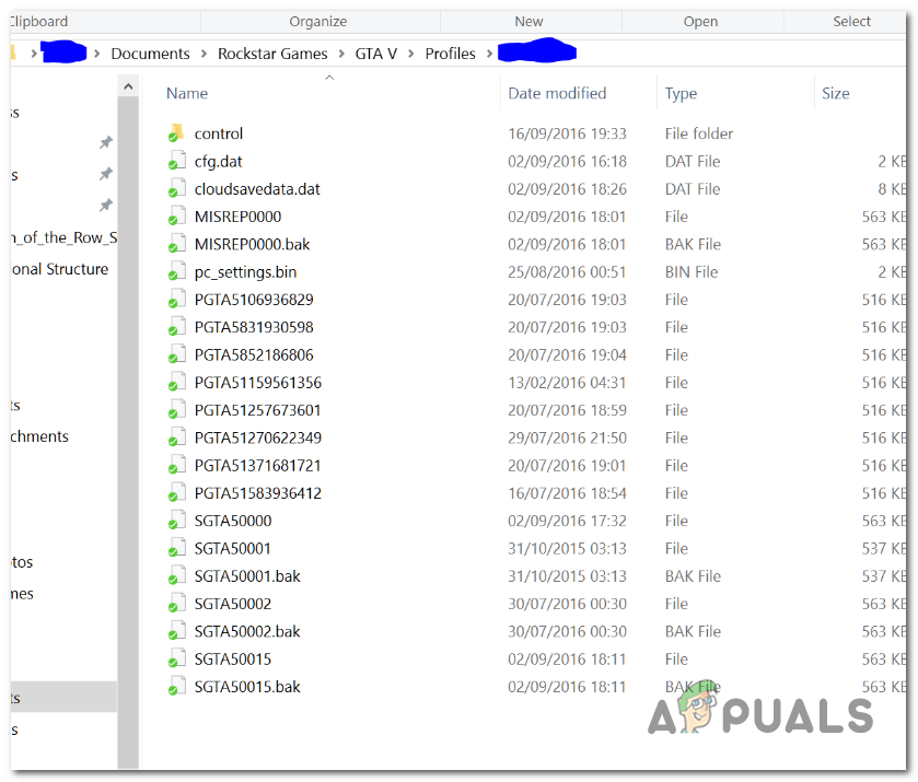 Inside the Profiles folder removing the specific files