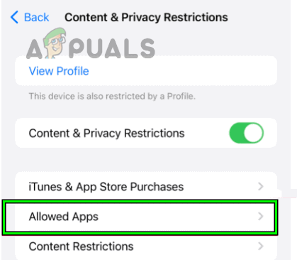Open Allowed Apps in the Content & Privacy Restrictions of the Screen Time Settings