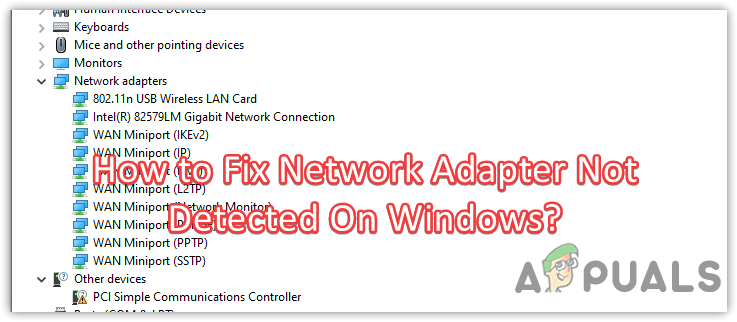 How to Fix Network Adapter Not Detected On Windows?