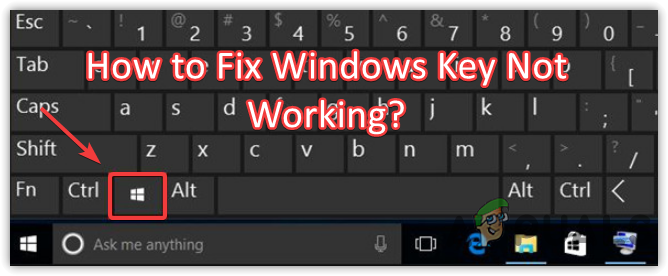 How to Fix Windows Key Not Working?