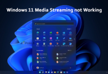 Windows 11 media streaming is not working