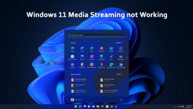 Windows 11 media streaming is not working