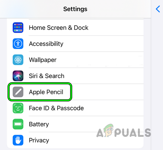 Open Apple Pencil in the iPad's Settings
