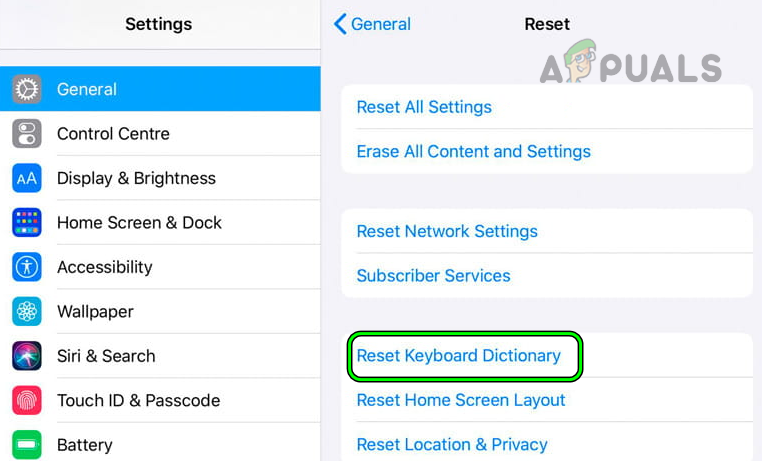 Reset Keyboard Dictionary in the iPad's Settings