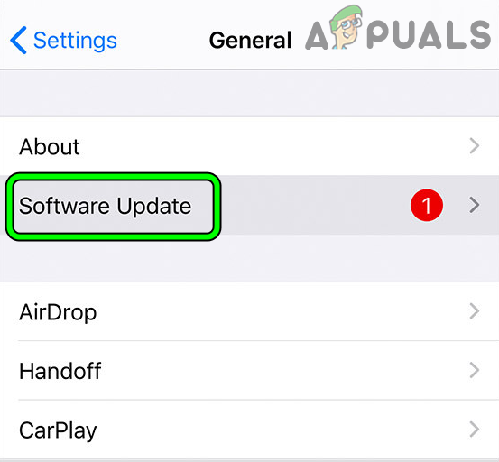 Open Software Update in the iPhone's General Settings