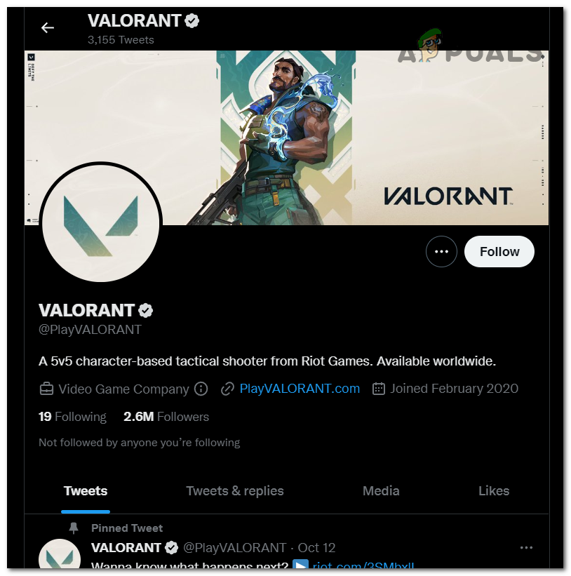 Checking the Twitter page of Valorant