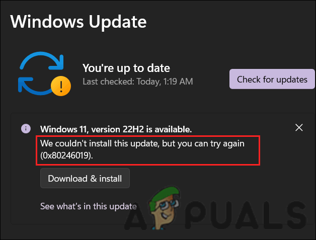 Update Error 0x80246019 in Windows 