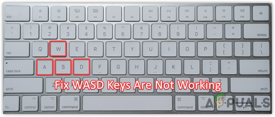 How to Fix WASD keys not working On Windows?