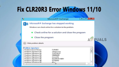CLR20R3 Error on Windows 11