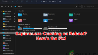 Explorer.exe crashing on Windows