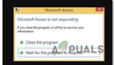 Microsoft access not responding