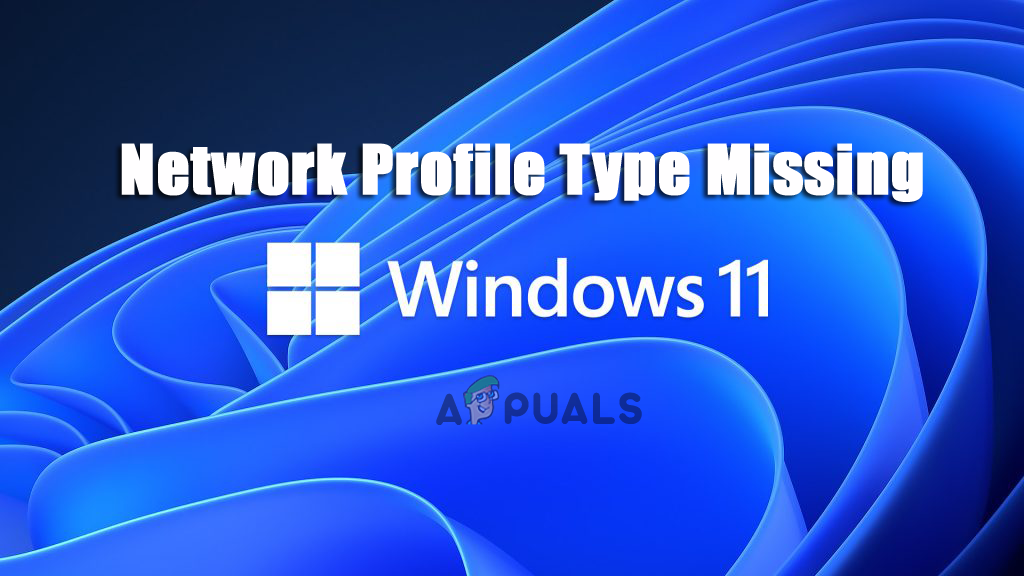 Network Profile Type Missing in Windows 11