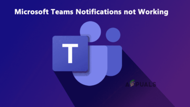 Microsoft Teams Notifications not Working