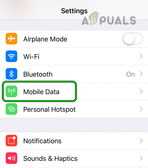 Open Mobile Data in the iPhone Settings