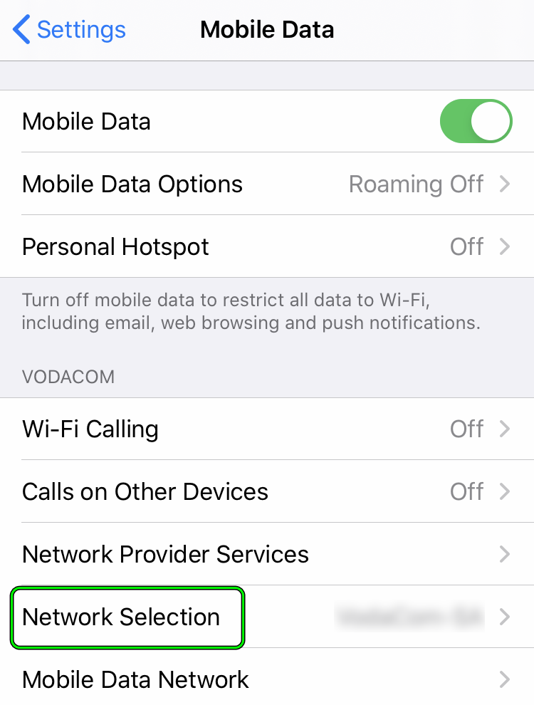 Open Network Selection in the iPhone's Mobile Data Settings