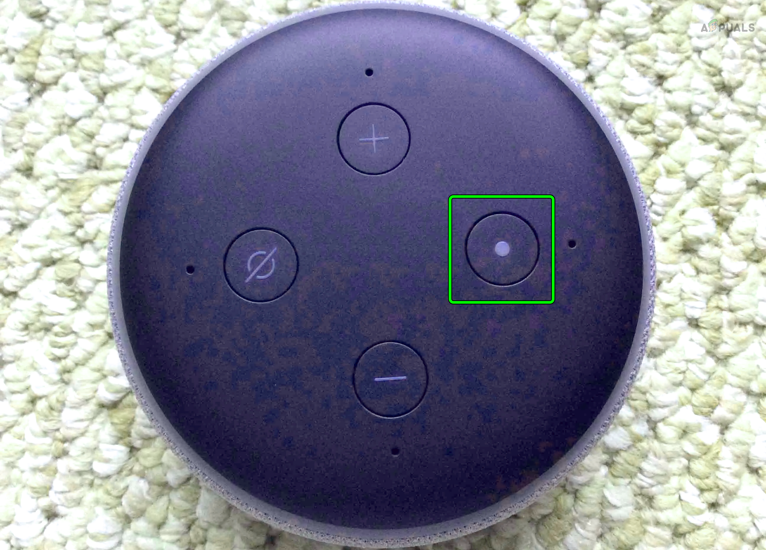 Reset the Echo Dot 3rd Generation to the Factory Defaults