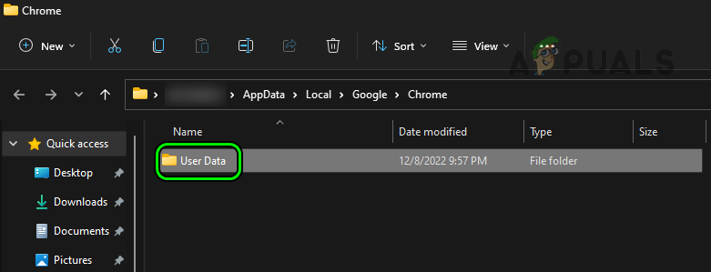 Delete the User Data Folder in the Chrome Installation Directory