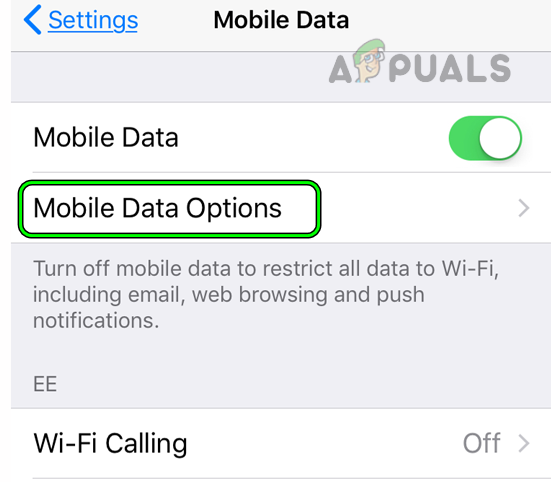 Open Mobile Data Options on the iPhone