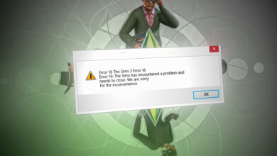 The Sims 3 Has Encountered a problem